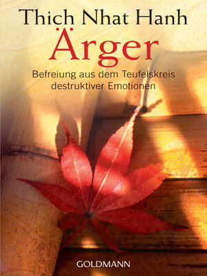 cover image of Ärger